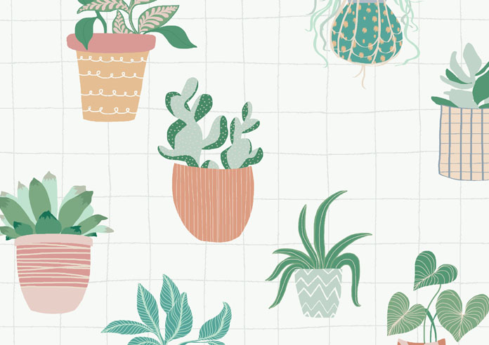 Succulent Plant Pots, Lush Green - Twist&Fit Roller Blind - Image 6